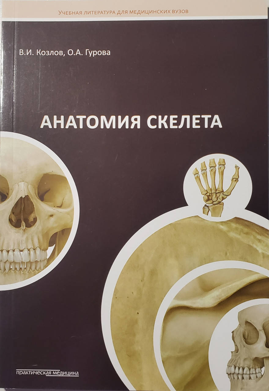 

В. И. КОЗЛОВ , О. А. ГУРОВА Анатомия скелета