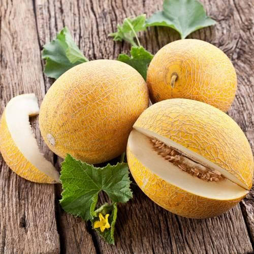 

Семена дыни Радмила F1, 30 шт., ТМ "ЛедаАгро"