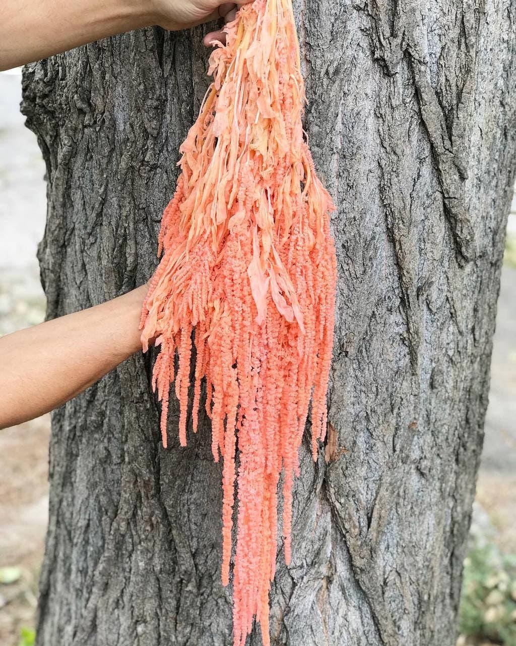 

Амарант стабилизированный