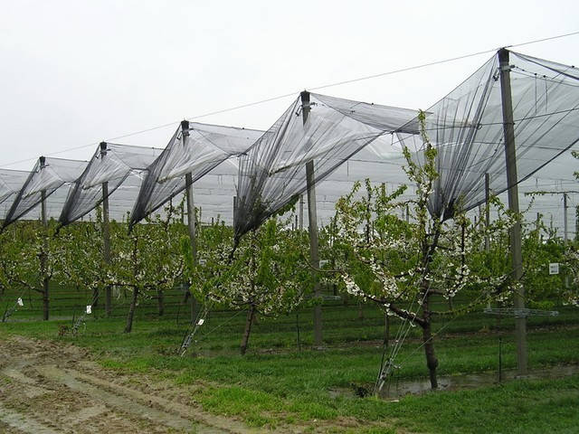 

Сетка затеняющая Оптима/ Сітка затіняюча 70% 3м*50м. 150м.кв. (на 7-8лет)