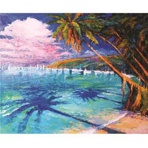 

Алмазная мозаика Карибы 30*40см с рамкой 41*31*25 см (H8385)