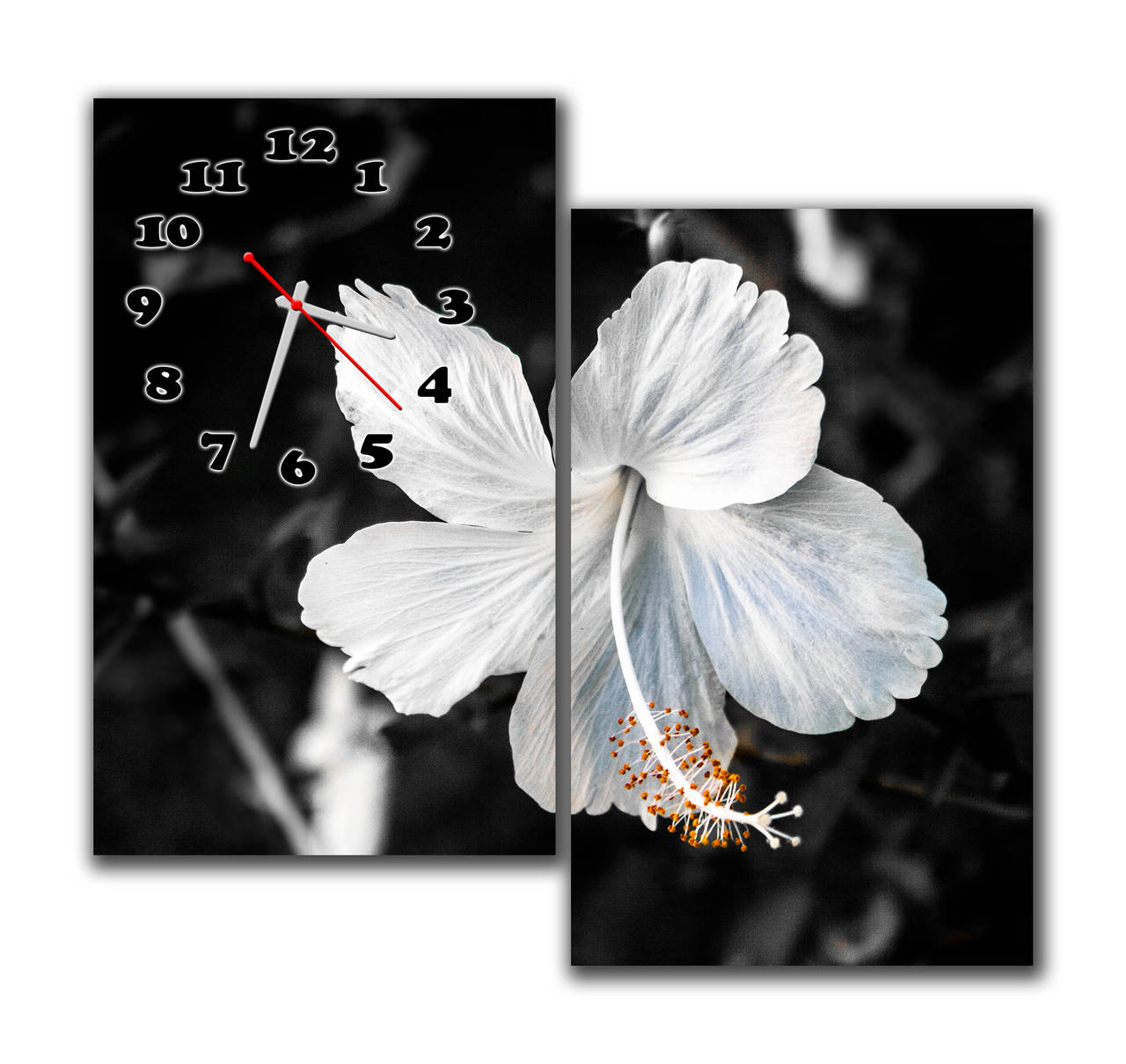 

Черно белая Модульная картина настенная с часами Нежный гибискус гавайский 30x50 30x50 см