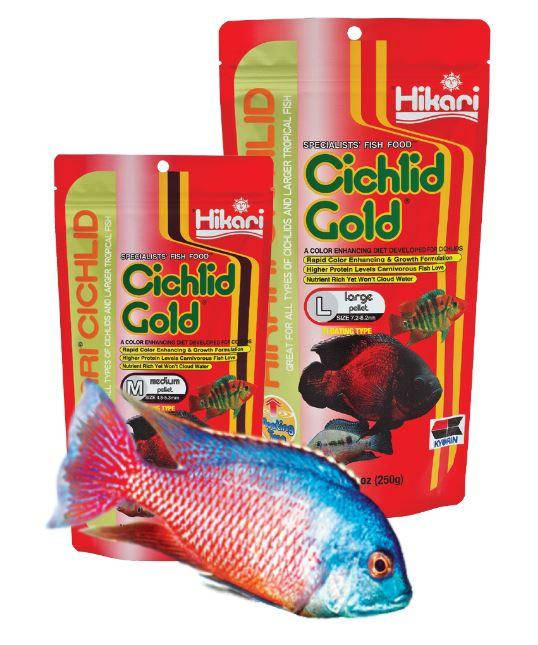 

Корм для хищных цихлид Hikari Cichlid Gold