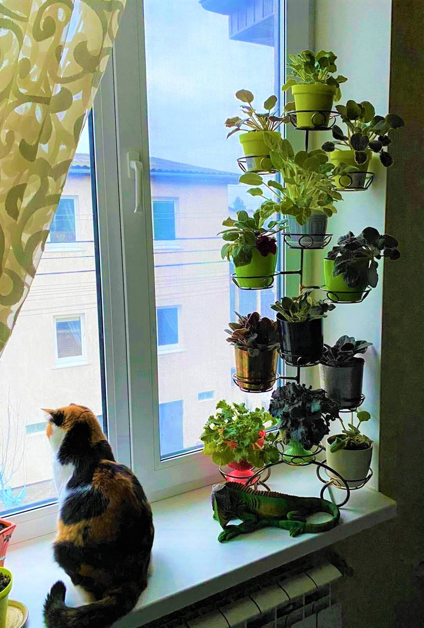 

Подставка для цветов на 12 малых чаш "Натали"