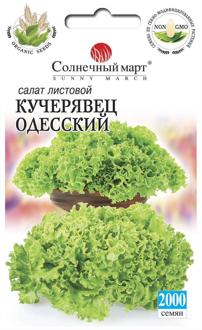 

Салат Кучерявец одесский, 2000шт