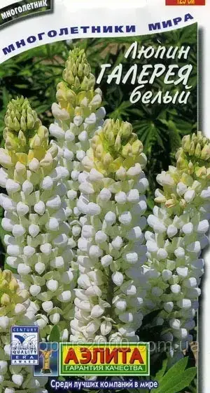 

Семена Люпин многолетний Галерея белый 0,3 грамма Аэлита