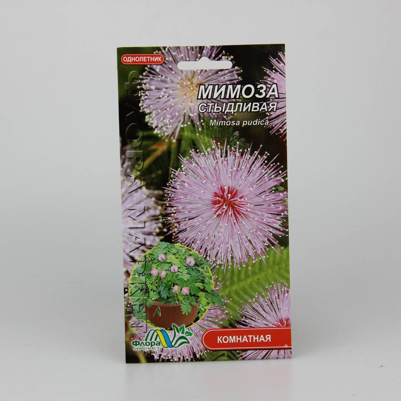 

Мимоза Стыдливая 0.1 г, Розовый