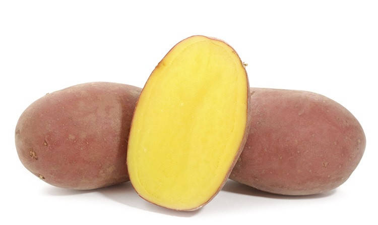 

Балтик Фаер лежкий среднеспелый устойчив к болезням высокоурожайный сорт класс 1Р ф 35 - 55 мм Германия