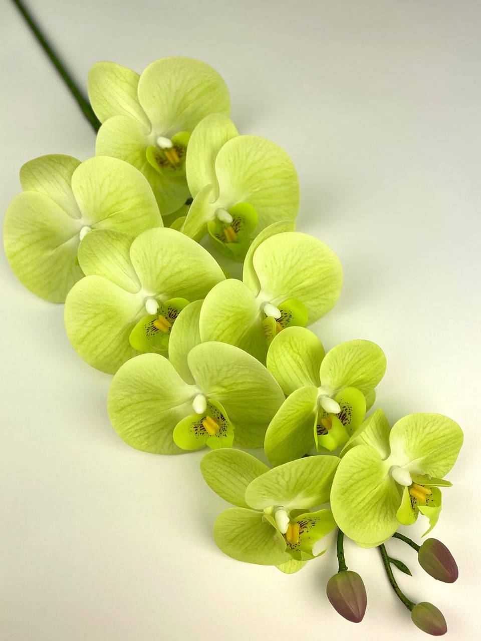 

Орхидея (силикон) 9 соцветий желтый, 97 см