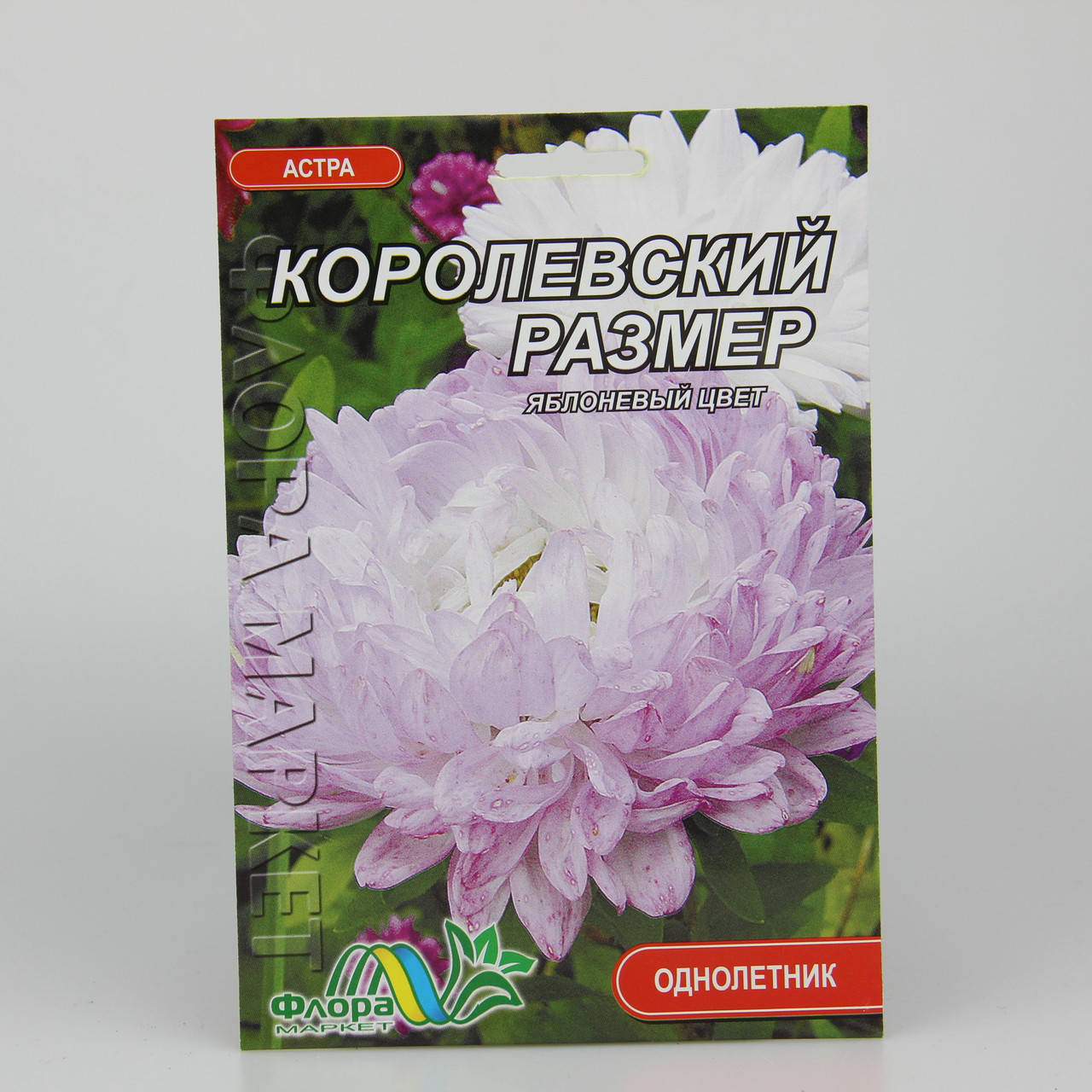 

Астра пионовидная Королевский размер яблоневый цвет фермерский пакет