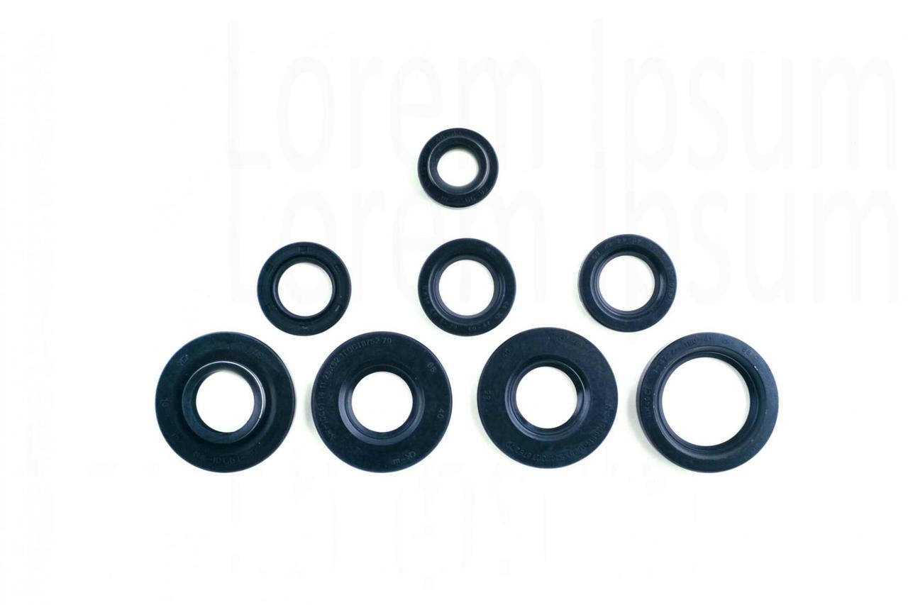 

Сальники (набор) ИЖ ЮПИТЕР (8шт) EVO