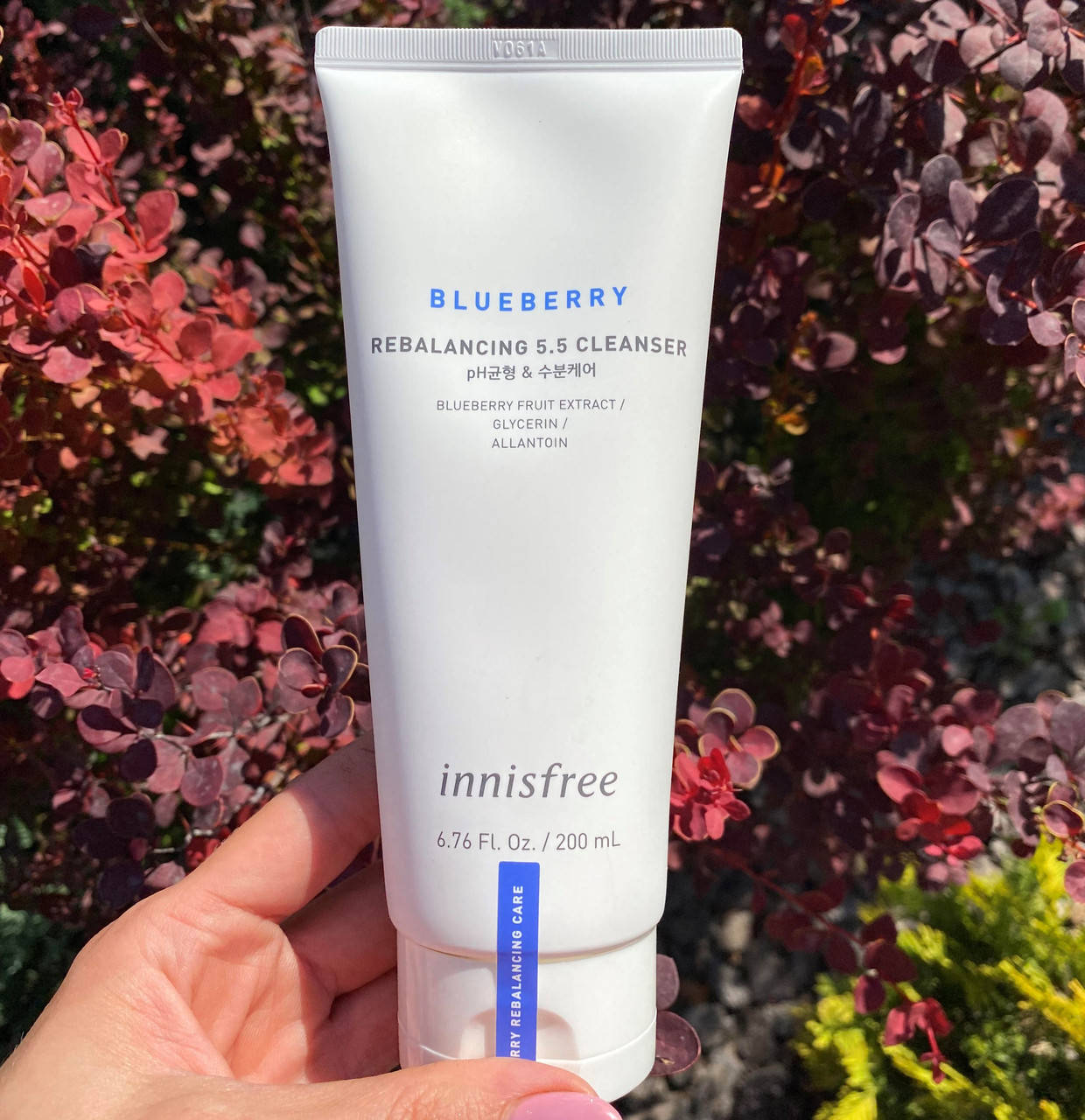 

БАЛАНСИРУЮЩАЯ ПЕНКА ДЛЯ УМЫВАНИЯ С ЭКСТРАКТОМ ЧЕРНИКИ INNISFREE BLUEBERRY REBALANCING 5.5 CLEANSER