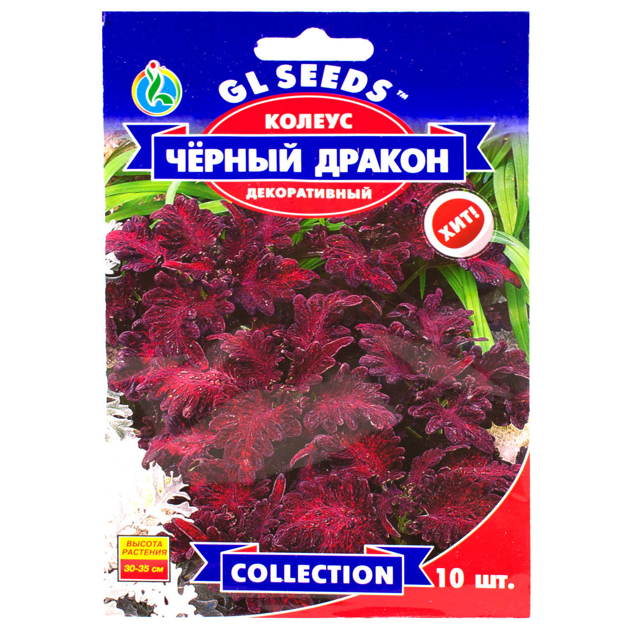 

Колеус Черный дракон 10 шт Gl Seeds, Фиолетовый