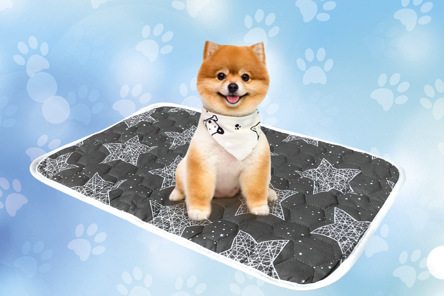 

Многоразовая пеленка для собак AquaStop Арт 7 размер 60 х 90 см.