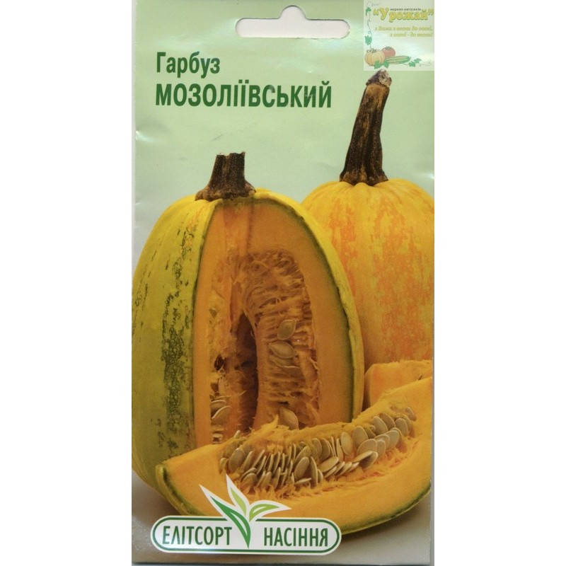

Семена тыква Мозолиивская, 12 семян
