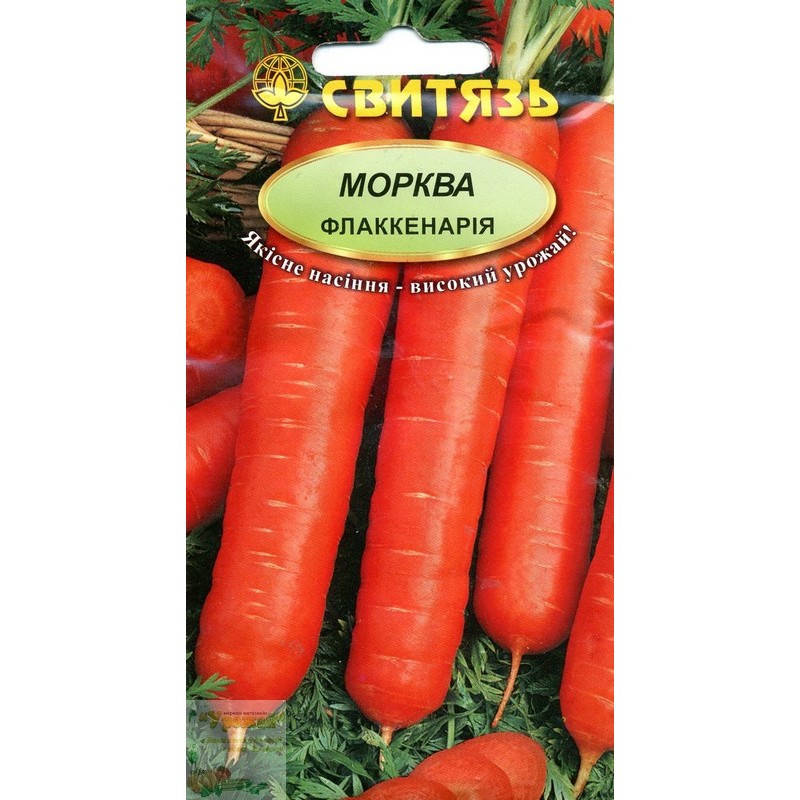 

Семена морковь столовая Флаккенария, 5 г