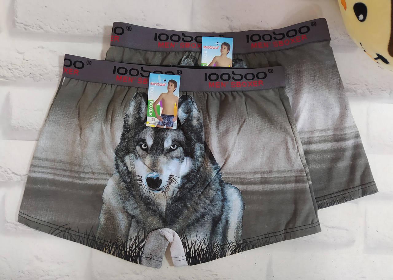 

Детские трусы на 12-13 лет (152-158) для мальчика хлопок Loosoo ТН025, Разные цвета