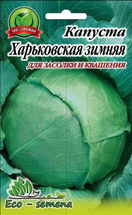 

Семена капуста Харьковская зимняя для квашения, 1 г