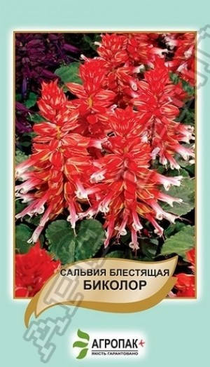 

Семена Сальвия блестящая Биколор 0,2 грамма Legutko Агропак, Красный