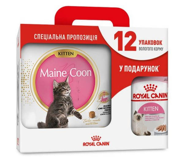 

Royal Canin Maine Coon Kitten 4кг- корм для котят породы мейн кун +12 паучей