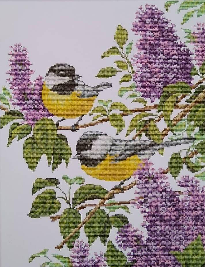 

Набор для вышивания крестом с печатью на ткани NKF Синички на сирене DА 387 14ст