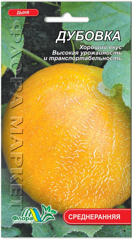 

Дыня Дубовка