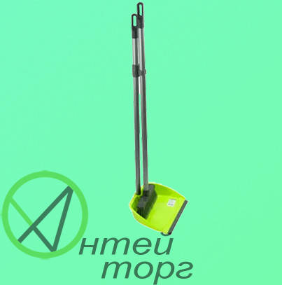 

Совок та щітка для підмітання