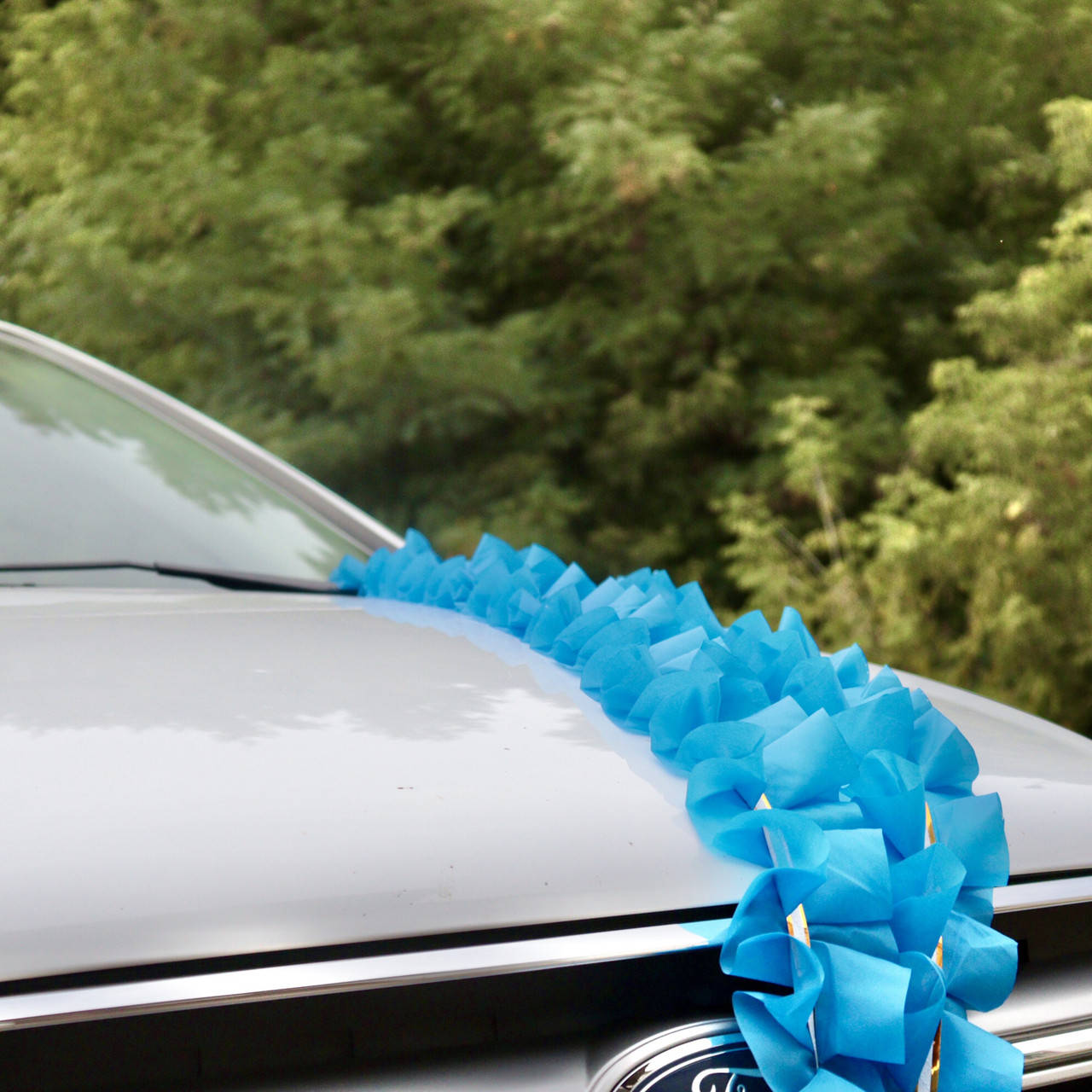 

Рюш! Свадебная жатая Лента 3 метра, Голубая, Голубой