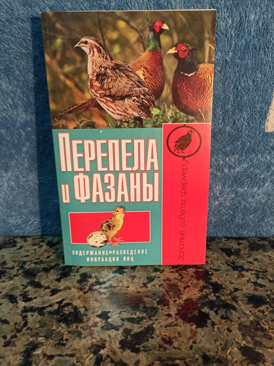 

Перепела и фазаны содержание разведение инкубация яиц