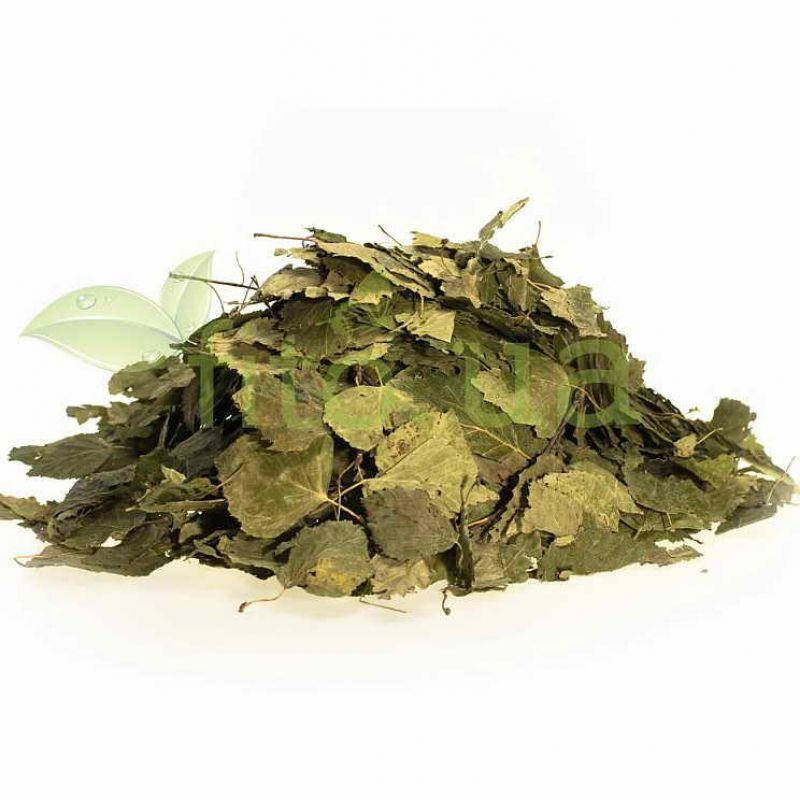 

Береза лист 50 гр.