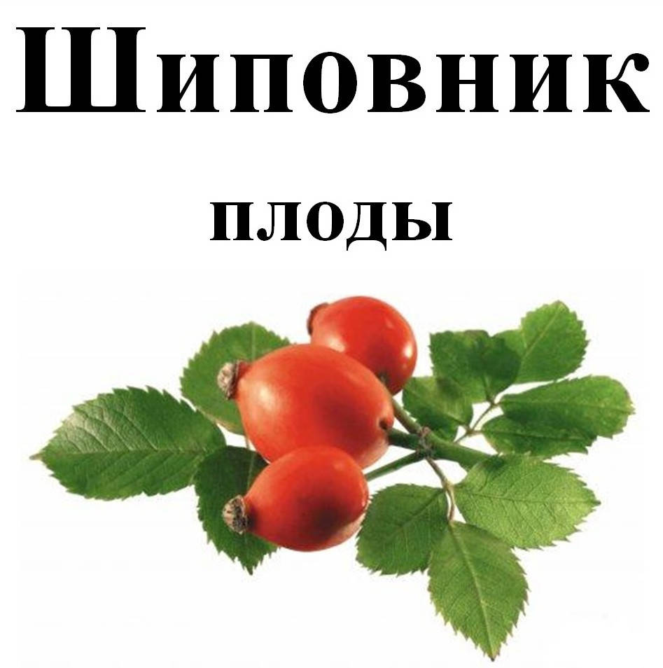 

Шиповник плоды, 150 грамм