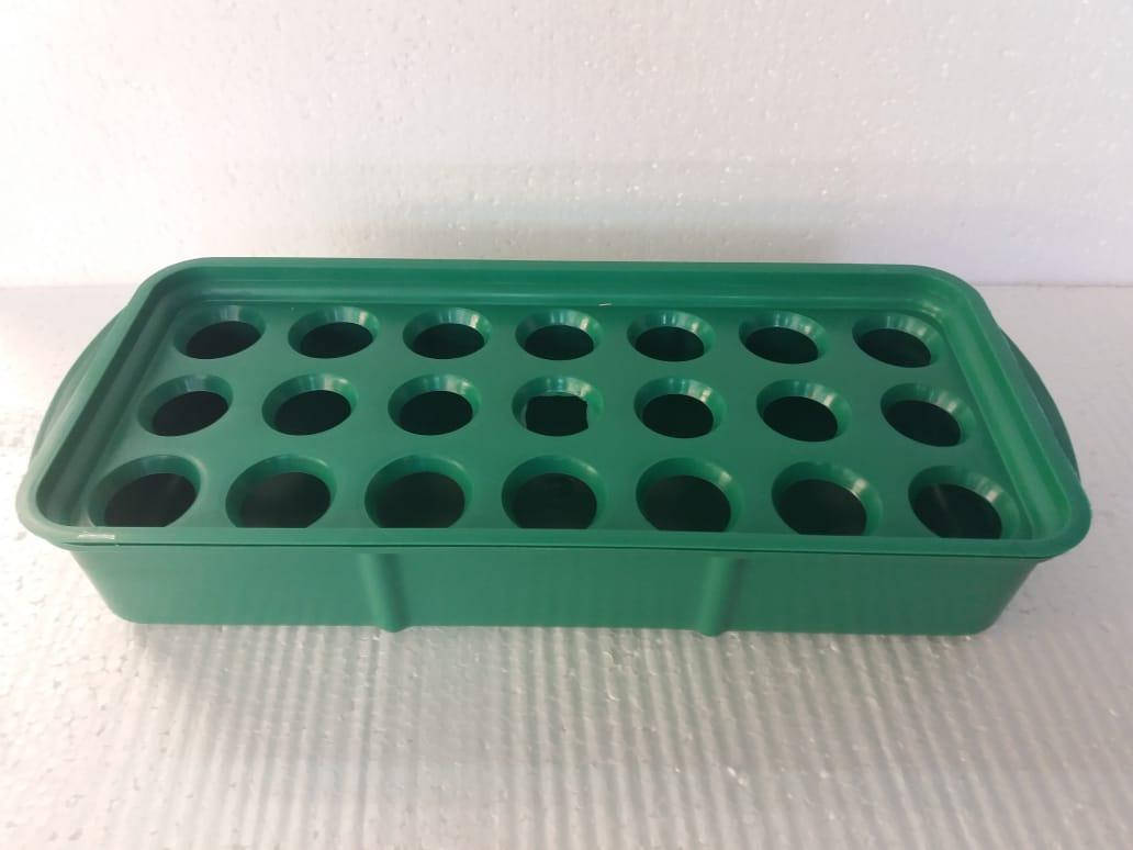 

Луковичница малая