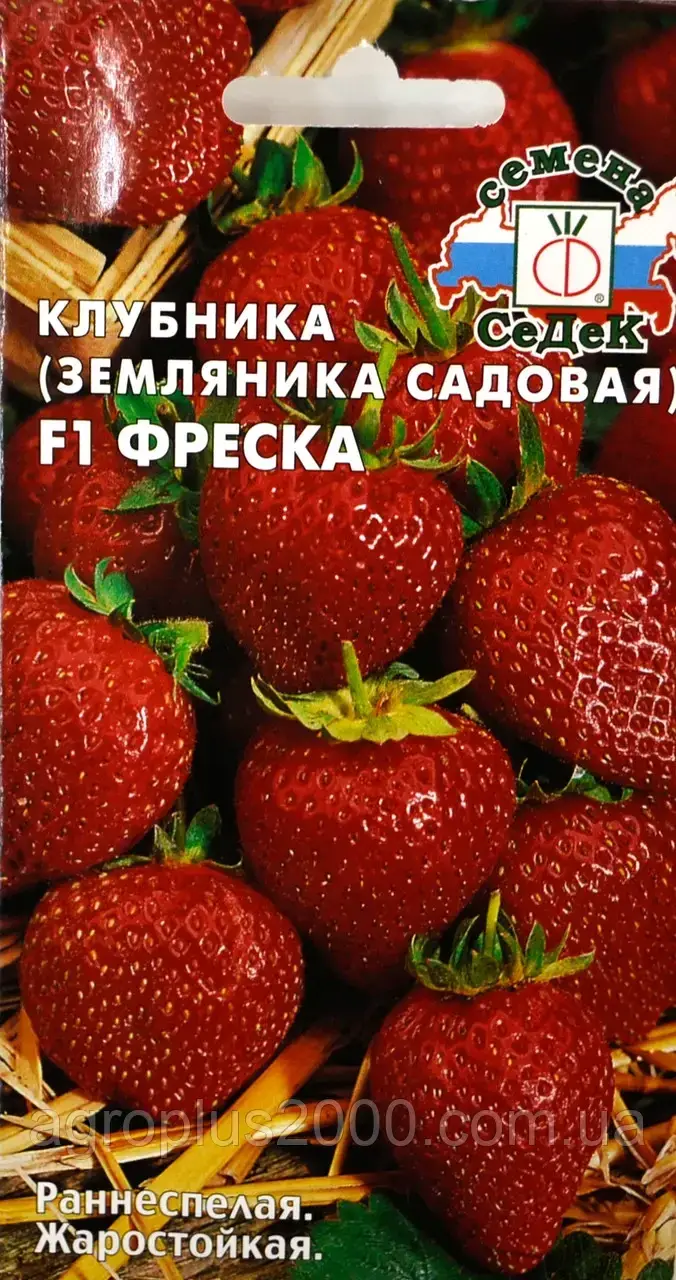 

Семена клубники (земляники садовой) Фреска F1, 15 семян Седек