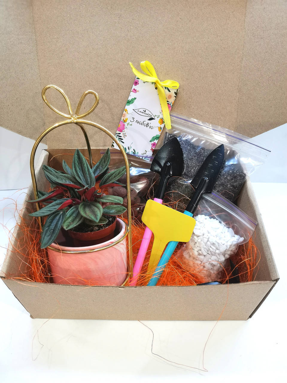 

Набор "Посади сам"