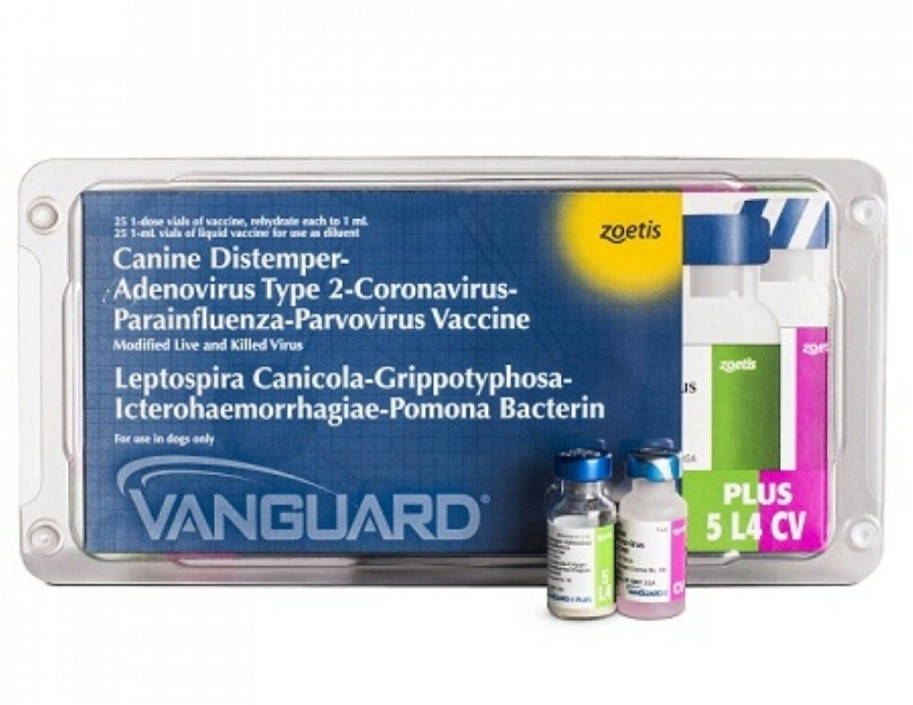 

Вангард Плюс 5L4-CV 1 доза (Zoetis)
