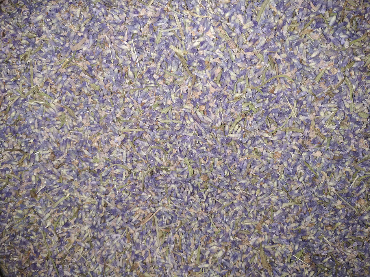 

Лаванда цвет 50 г