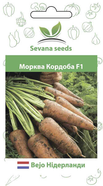 

Семена моркови Кордоба F1 1000 семян ( 1,92 грамм ) 1,80-2,00 фракция Bejo Zaden