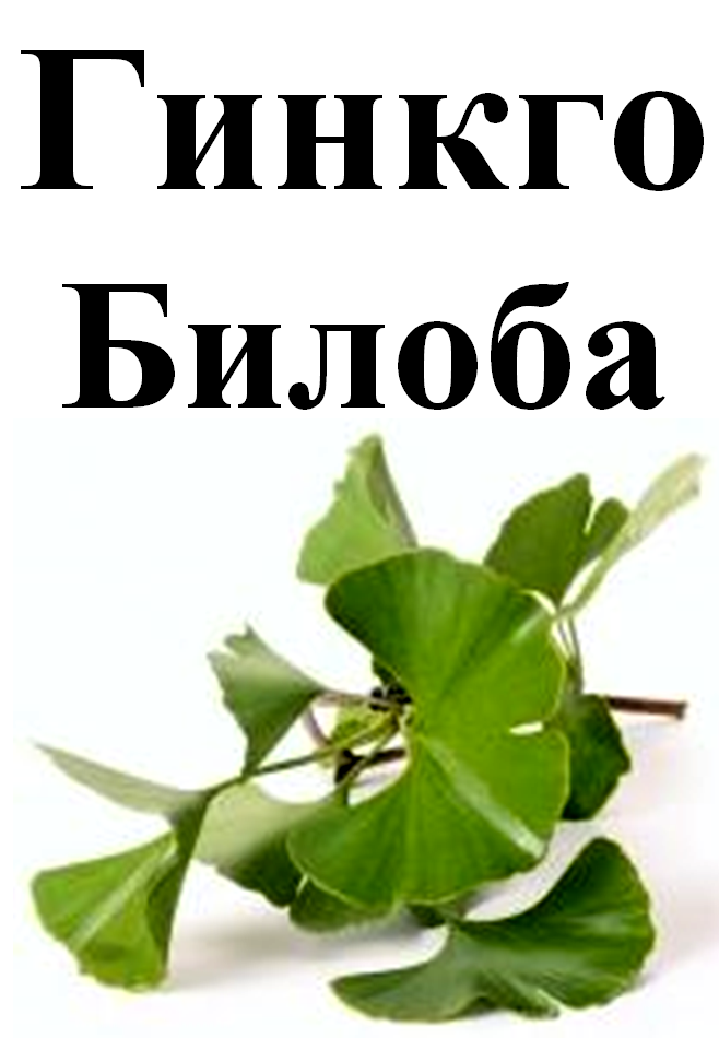

Гинкго билоба, лист сухой, 20 грамм