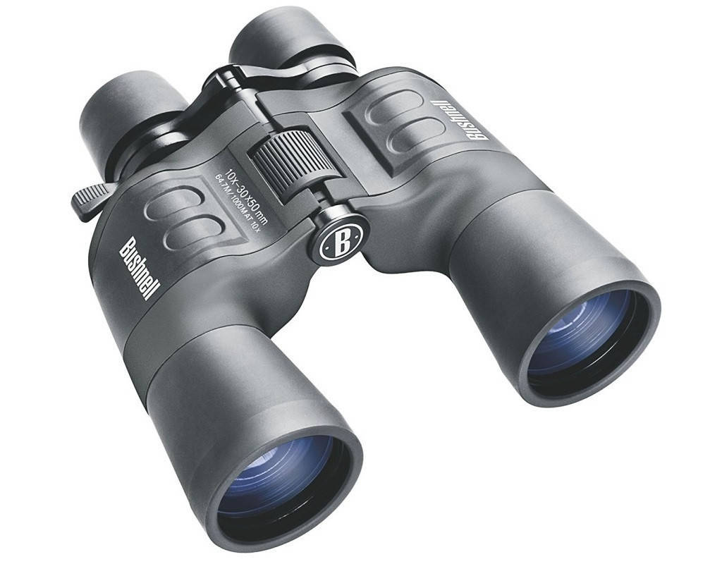 

Бинокль Bushnell Falcon Vari Zoom 10-30x50 супер, Серый