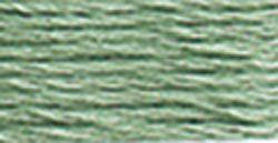 

Мулине DMC 503 Thyme green, Зелёный
