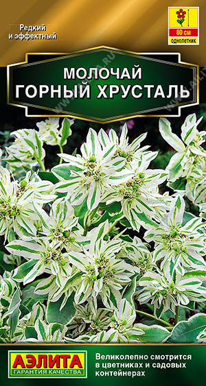 

Семена Молочай Горный Хрусталь 0,5 грамма Аэлита, Белый