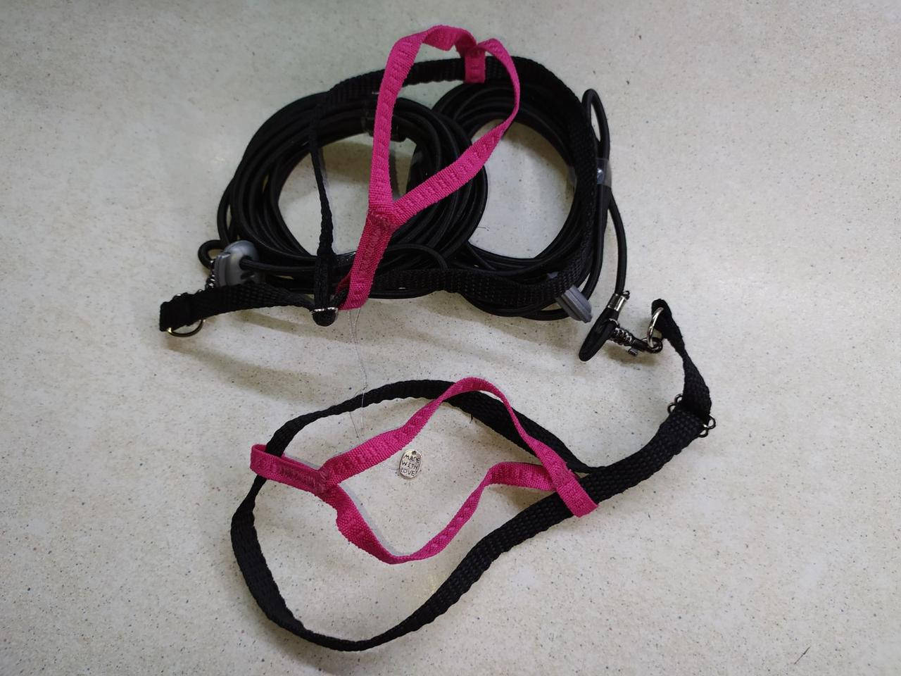 

Шлейка для жако и других птиц., Зелёный