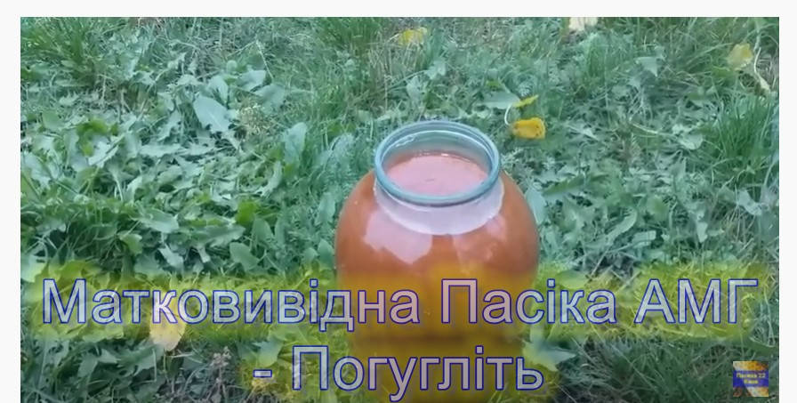 

Гречневый мед с пасеки 3 литра