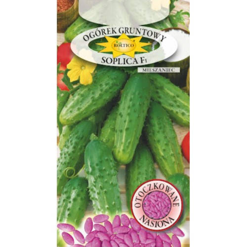 

Насіння огірок Soplica F1 5 гр 200184