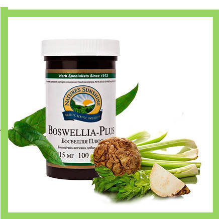 

Босвелия Плюс (Boswellia Plus) НСП. Босвелия Плюс NSP. Натуральная БИОДОБАВКА