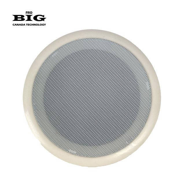 

Гучномовець BIG CS2607