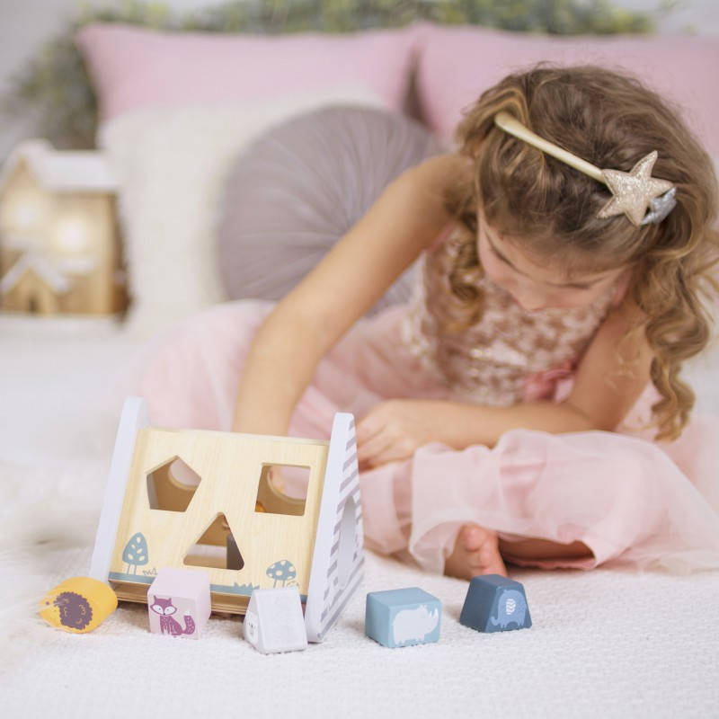 

Деревянный детский сортер Viga Toys PolarB Развитие 5 в 1 (44007), Разные цвета