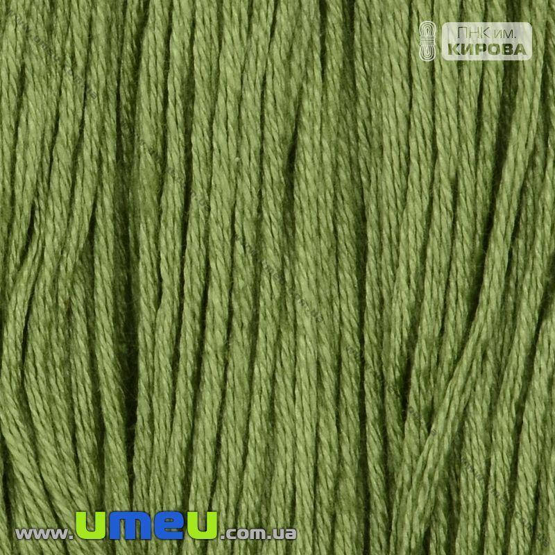 

Мулине ПНК Кирова 4504, 10 м (SXM-026592)