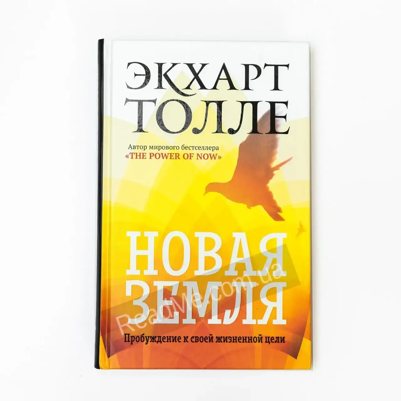 

Книга Новая земля. Пробуждение к своей жизненной цели. Толле Э.
