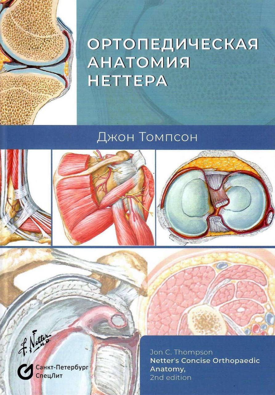 

Ортопедическая анатомия Неттера Д. Томпсон 2022г.